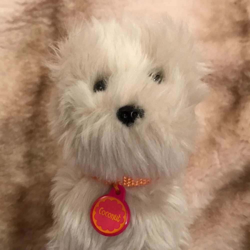 ORIGINAL American Girl Coconut Pet